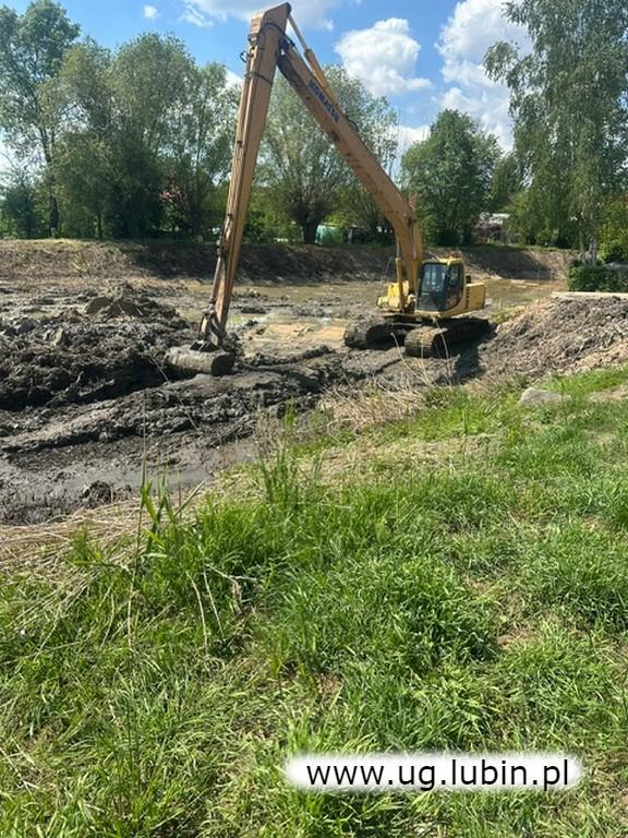 Staw w Siedlcach przechodzi metamorfozę