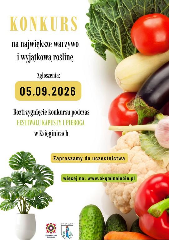 Zapraszamy 5 września do Księginic