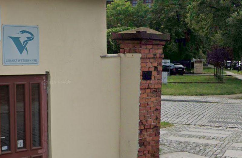 Nagły wypadek ze zwierzęciem w nocy? W Głogowie pomoc może być niedostępna
