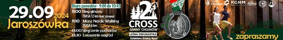 e legnickie Gmina Chojnów kopia 2