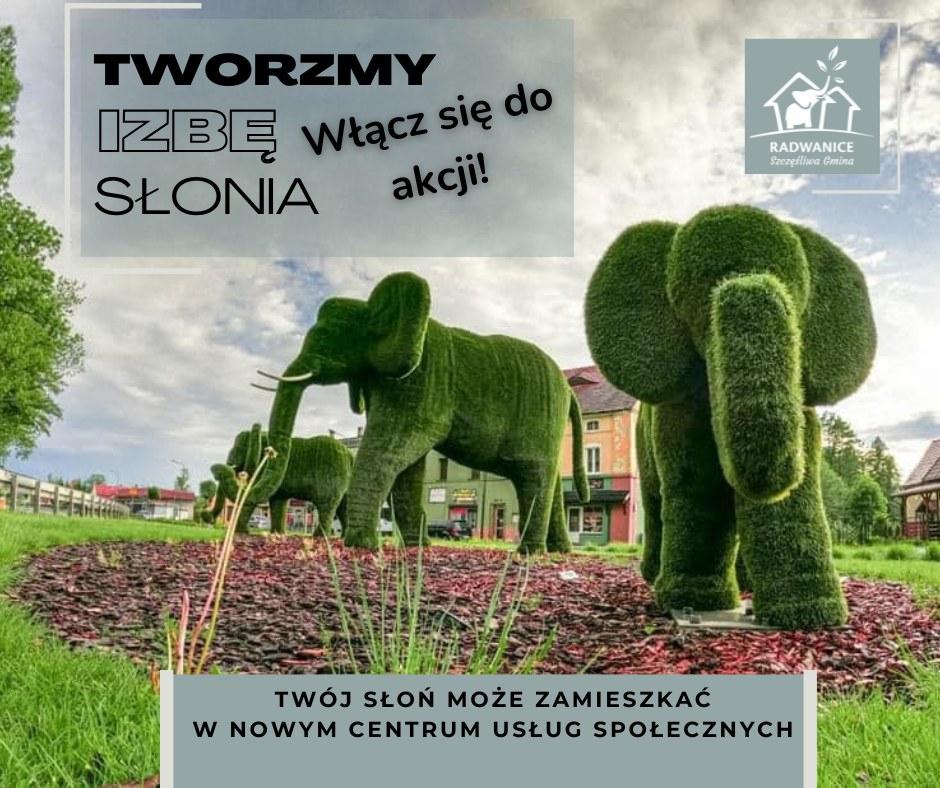 W Radwanicach szukają... słoni