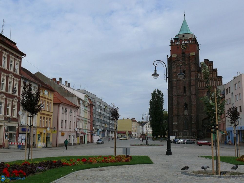 Chojnowianie poznali projekty budżetu obywatelskiego. Za miesiąc głosowanie!