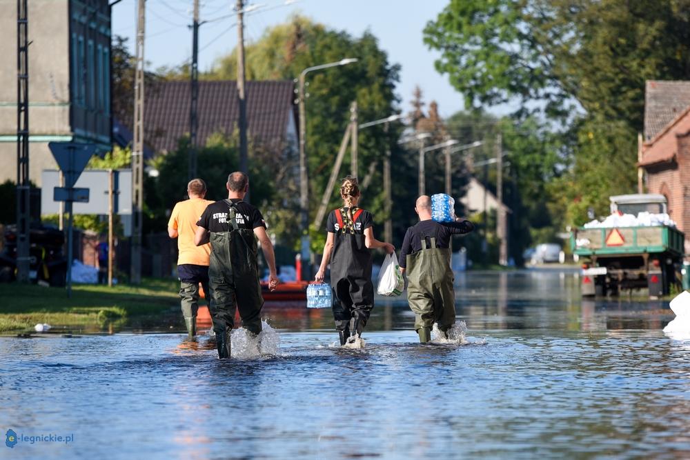 Ścinawa walczy z powodzią (FOTO)