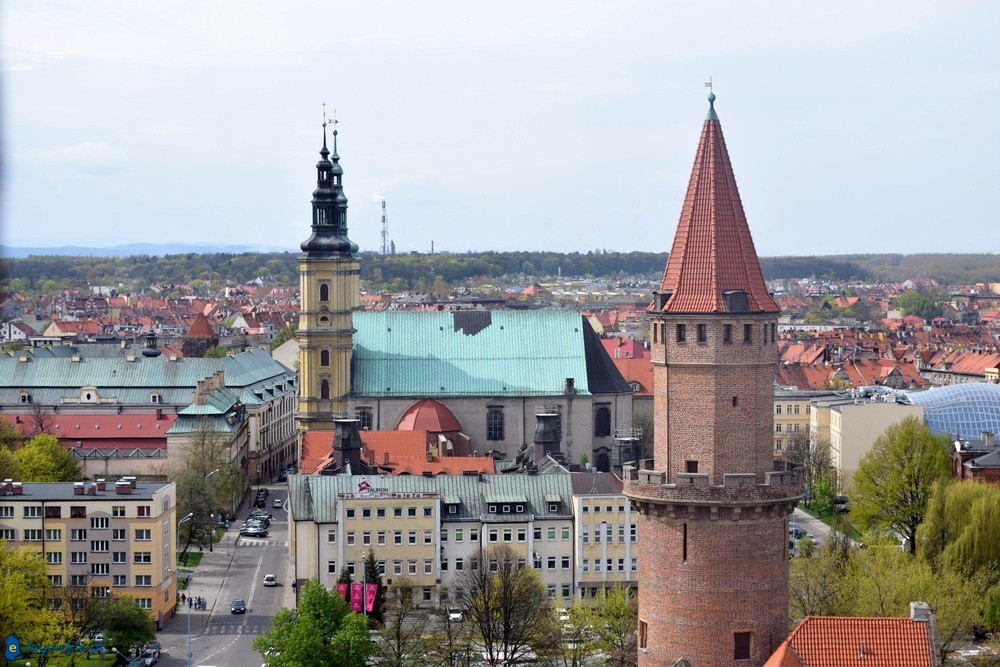 Czy Legnica zostanie Miastem Roku 2017?