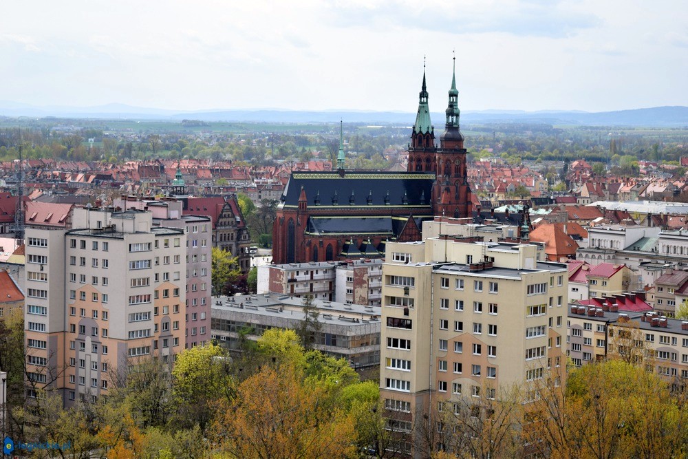 Ponad 101 tys. mieszkańców, w tym 12 tys. cudzoziemców w Legnicy!