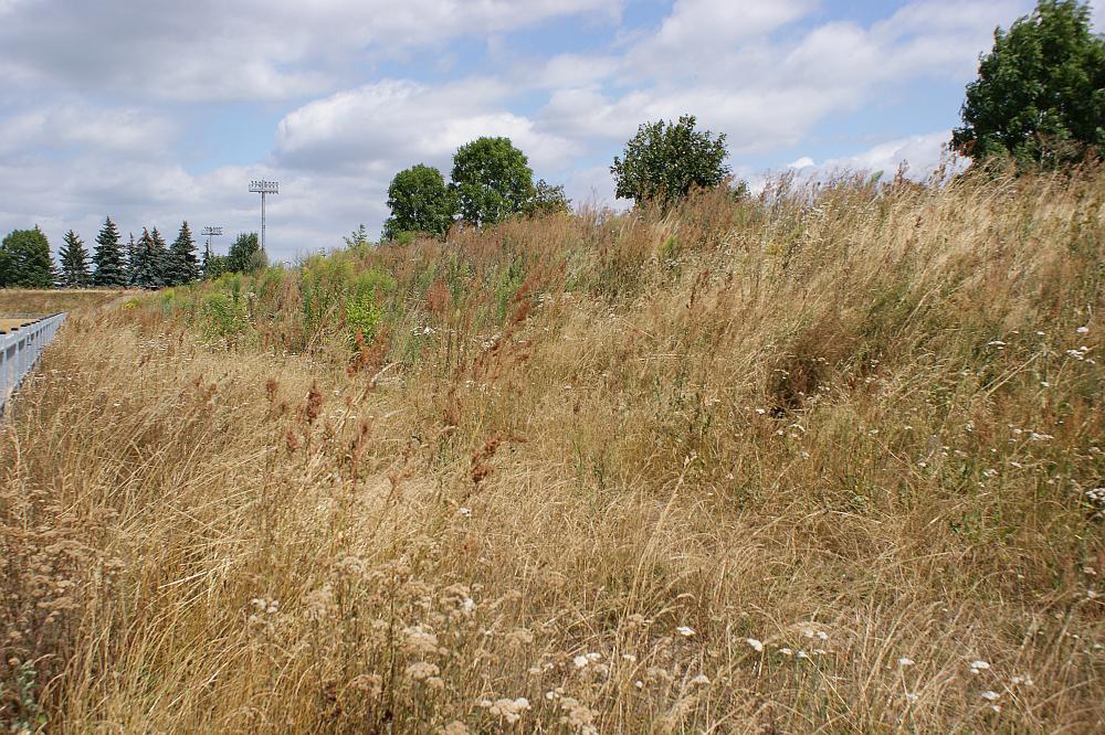 Stadion Gorniczy 3 23 07 19 Fot Dariusz Szymacha