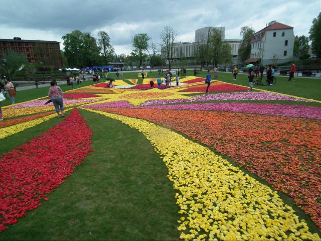 Tysiące kwiatów i nowe aranżacje – Lubin przygotowuje się na kolorowy sezon 2026