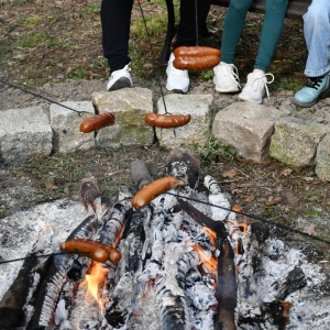 park-linowy-fot-ewajak145