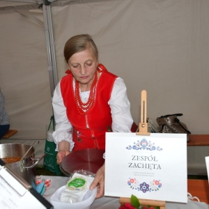 festival-zup-fot-ewajak055