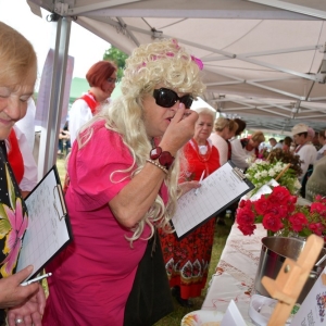 festival-zup-fot-ewajak059