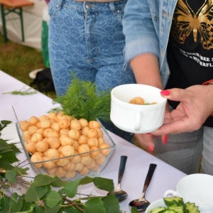 festival-zup-fot-ewajak064