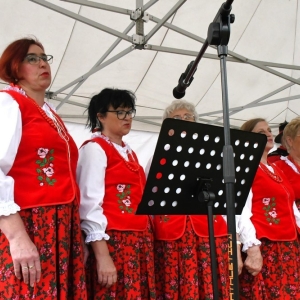 festival-zup-fot-ewajak089