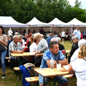 festival-zup-fot-ewajak204