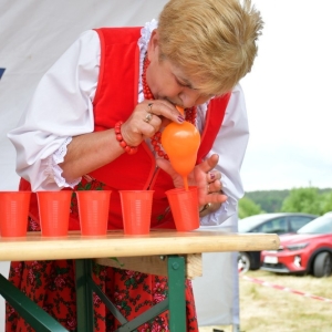 festival-zup-fot-ewajak205