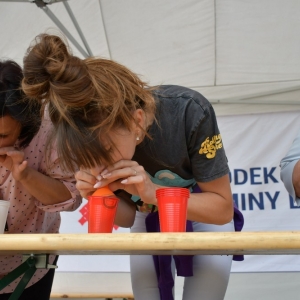 festival-zup-fot-ewajak206