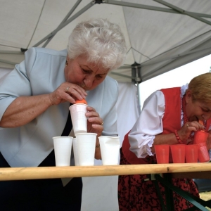 festival-zup-fot-ewajak208