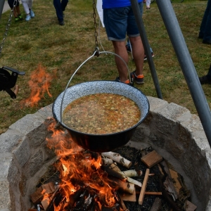 festival-zup-fot-ewajak220