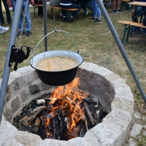 festival-zup-fot-ewajak232