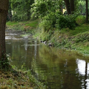 mistrzostwa-w-plukaniu-zlota-w-rzece-fot-zj078