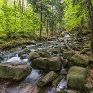 wodospad-podgornej-fot-ewajak05