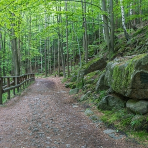 wodospad-podgornej-fot-ewajak37