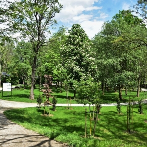 park-prochowice-fot-ewa-jakubowska27