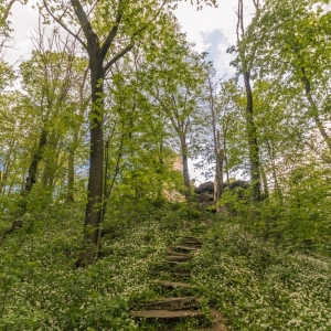 zamek-we-wleniu-fot-ewajak04