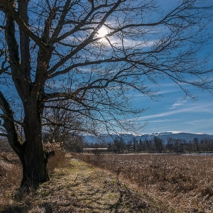 bukowiec-fot-ewa-jakubowska20