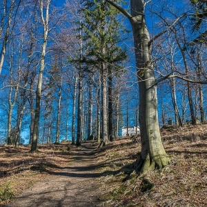 bukowiec-fot-ewa-jakubowska50