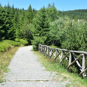 schronisko-jelenka-fot-ewa-jakubowska07