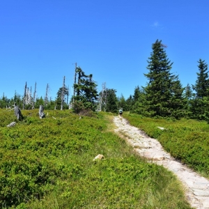 schronisko-jelenka-fot-ewa-jakubowska33