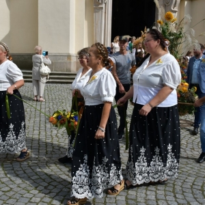 dozynki-legnickie-pole-fot-ewajak060.jpg