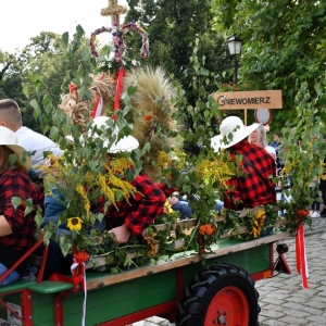 dozynki-legnickie-pole-fot-ewajak116.jpg