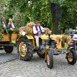 dozynki-legnickie-pole-fot-ewajak135.jpg