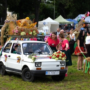 dozynki-legnickie-pole-fot-ewajak176.jpg