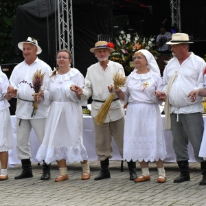 dozynki-gmny-wadroze-fot-ewajak195.jpg