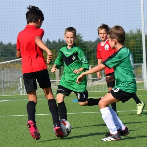 kinds-cup-fot-ewajak002.jpg