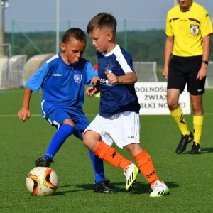 kinds-cup-fot-ewajak037.jpg