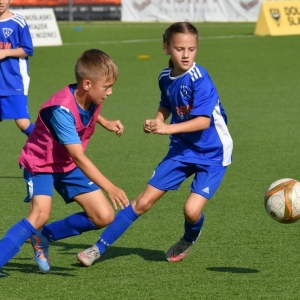 kinds-cup-fot-ewajak073.jpg