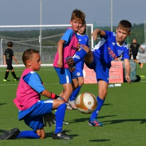 kinds-cup-fot-ewajak077.jpg