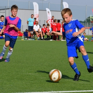 kinds-cup-fot-ewajak078.jpg