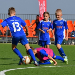kinds-cup-fot-ewajak079.jpg