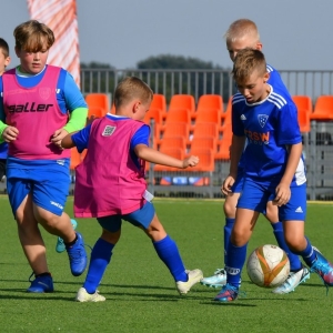 kinds-cup-fot-ewajak081.jpg