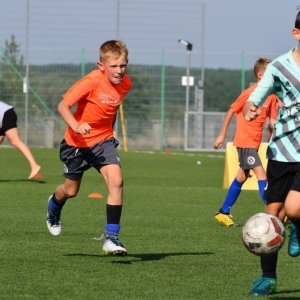 kinds-cup-fot-ewajak101.jpg