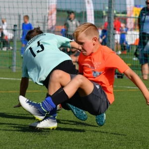 kinds-cup-fot-ewajak104.jpg