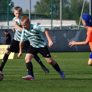 kinds-cup-fot-ewajak114.jpg