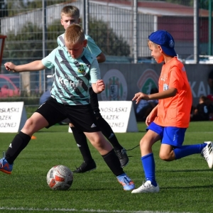 kinds-cup-fot-ewajak115.jpg