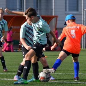 kinds-cup-fot-ewajak118.jpg