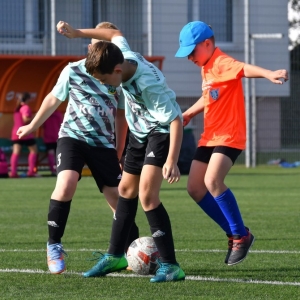 kinds-cup-fot-ewajak119.jpg