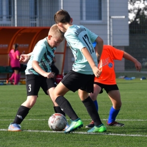 kinds-cup-fot-ewajak120.jpg